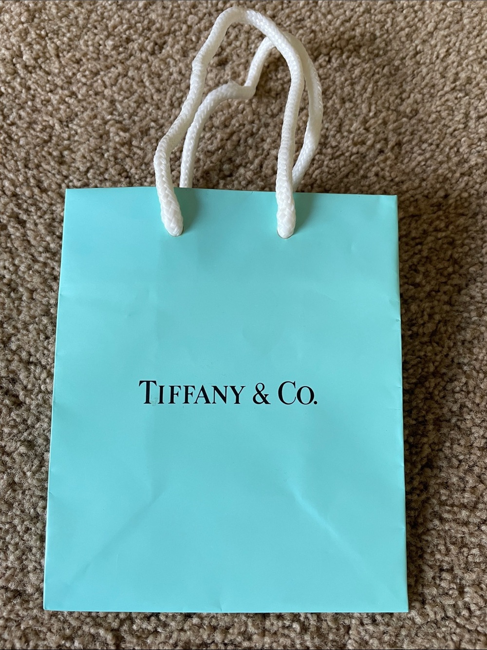 Tiffany & Co. Small Bag with White Rope Handles